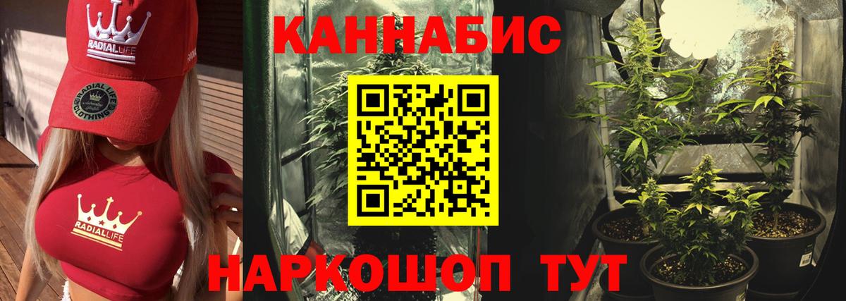Конопля White Widow  Каннабис White Widow  Вход с VPN  Брянск  Бошки Шишки LSD WEED  Бошки Шишки индика 